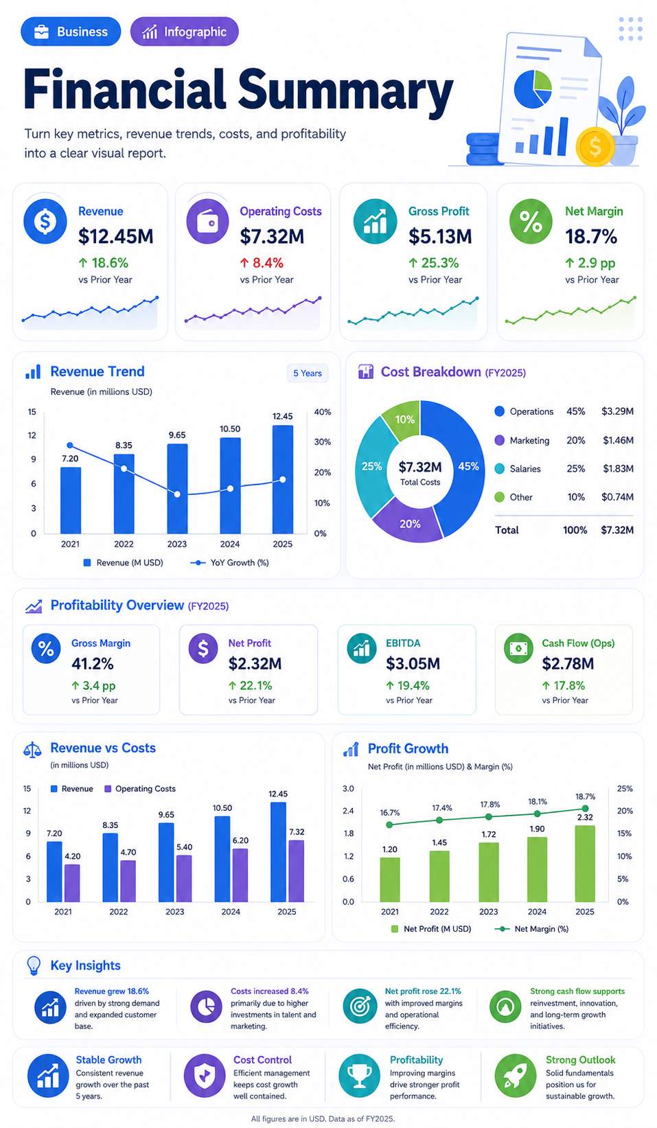 Financial Summary infographic template preview