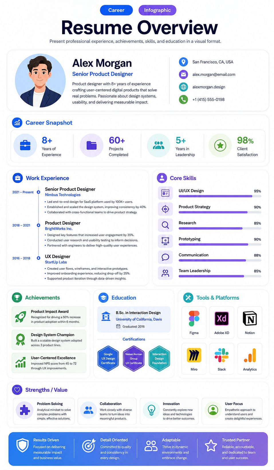 Resume Overview infographic template preview